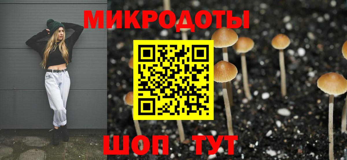 Псилоцибиновые грибы Psilocybine cubensis Можга