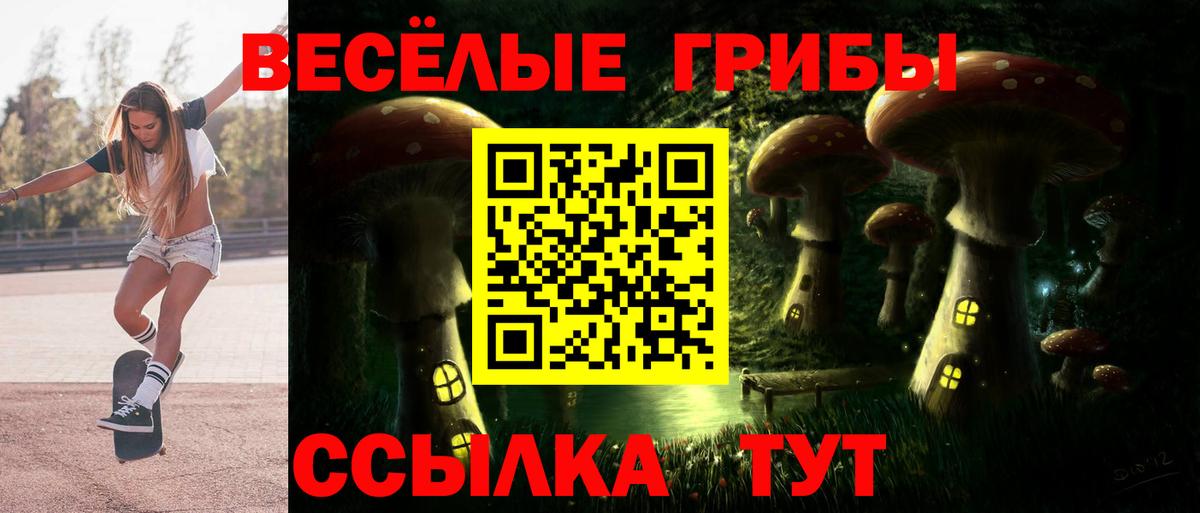 Можга  Галлюциногенные грибы мицелий  Вход с VPN  Галлюциногенные грибы Psilocybine cubensis 